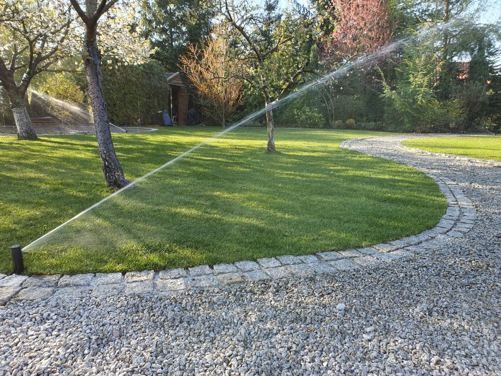 zdjęcie w galerii nr 65
