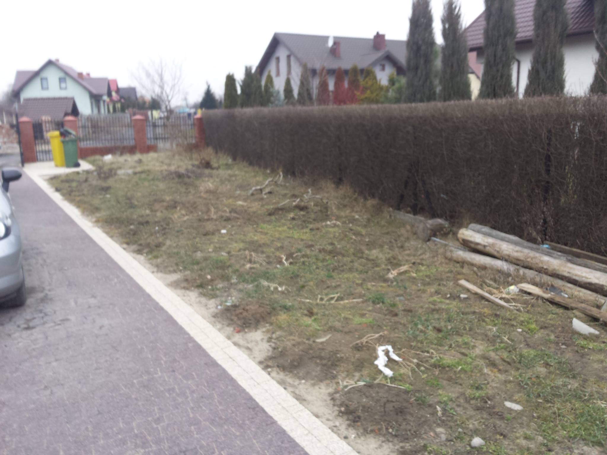 zdjęcie w galerii nr 32
