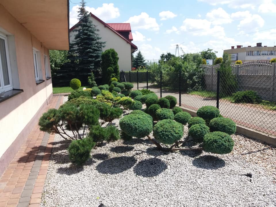 zdjęcie w galerii nr 20