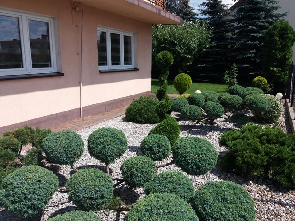 zdjęcie w galerii nr 21
