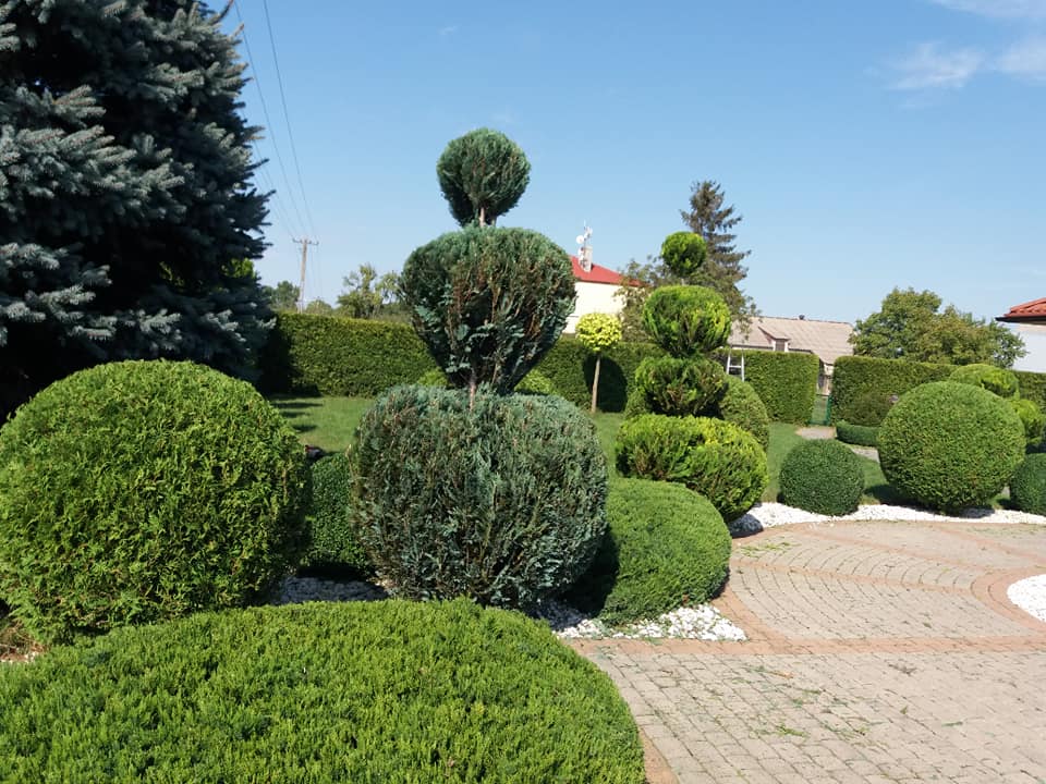 zdjęcie w galerii nr 10