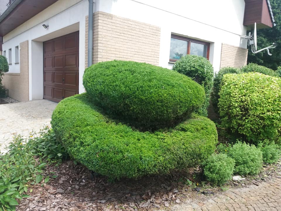 zdjęcie w galerii nr 15