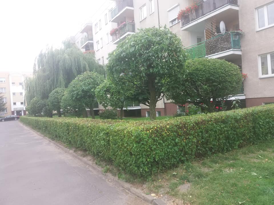 zdjęcie w galerii nr 3