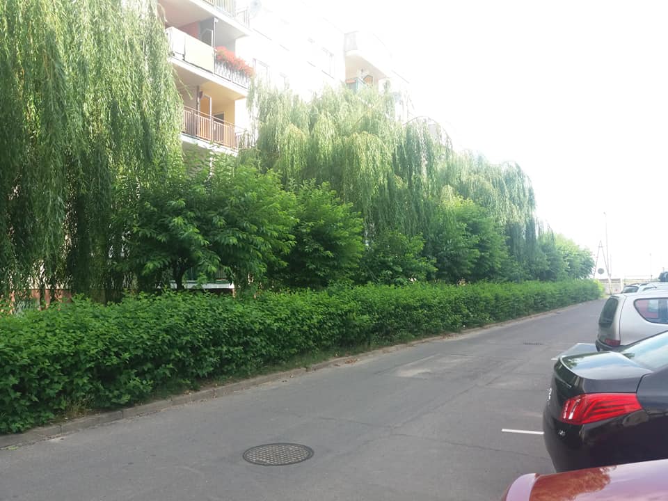 zdjęcie w galerii nr 4