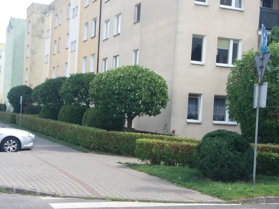 zdjęcie w galerii nr 5