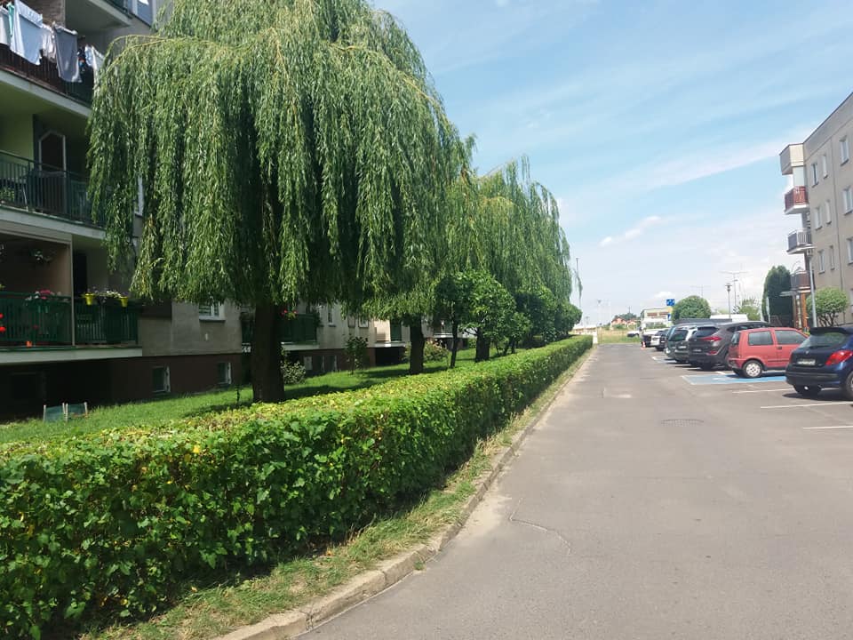zdjęcie w galerii nr 6