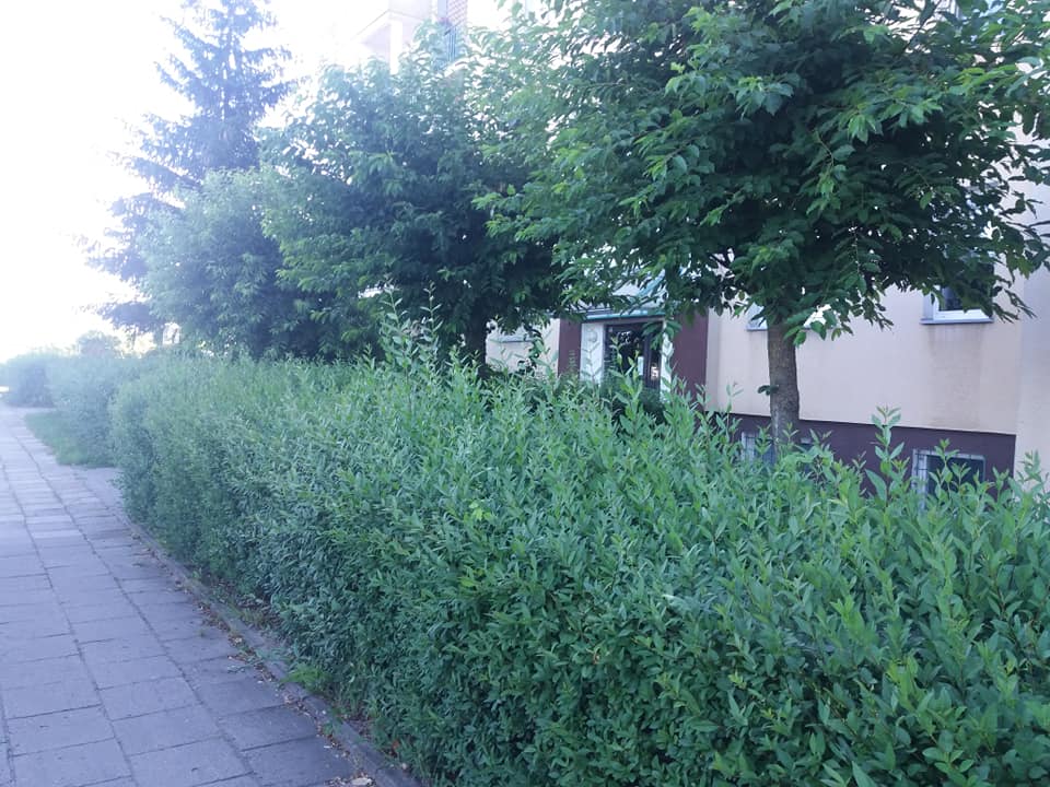 zdjęcie w galerii nr 7